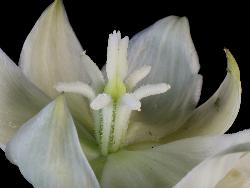 © Landcare Research 2012 